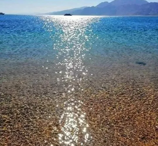 Sunny
